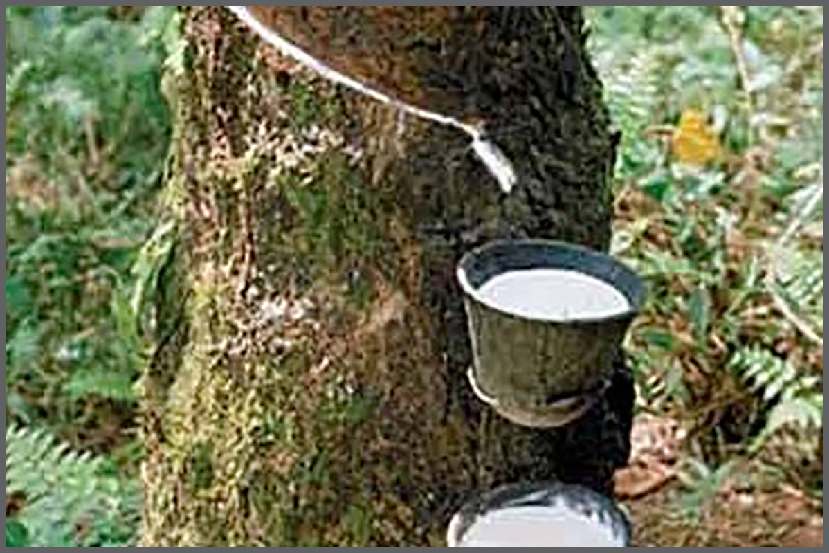 Products All Australian Rubber and Seals supplying Rubber and Plastic